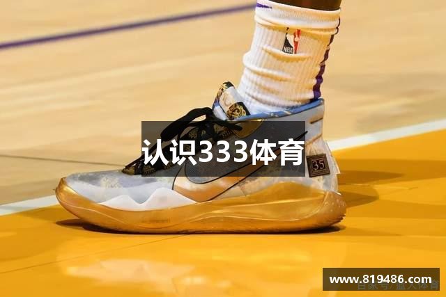 认识333体育